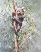 Signed print 
David Shepherd 
Koala, 716/975