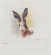 Pair signed prints 
Study of Badger and Hare, limited edition, 707/850, signed in pencil