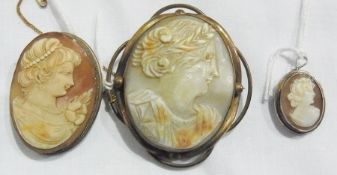 Three cameo brooches (1 box)