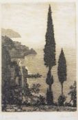 19th century etching 
Laurenzio Laurenzi (1878-1946)
"San Pietro ... Giardini Vaticani, Roma" and