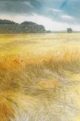 Two limited edition colour prints
by Helen Hanson 
Winter fields and summer fields (2)