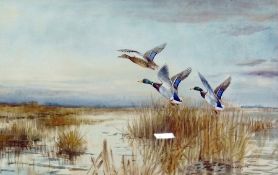Watercolour 
Rowland Green 
"Daybreak on the Marshes", landscape scene depicting ducks, on