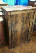 Antique coromandel cabinet, plain top fitted two shelves enclosed by framed arched panel door,