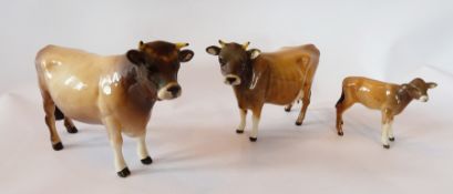 Beswick porcelain bull, "Dunsley Coy Boy" and Cow "Newton Tinkle" and a Beswick calf (3)