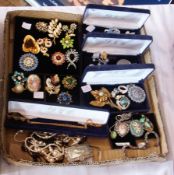 A quantity of assorted costume brooches, costume watch, necklaces, earrings (1 box)