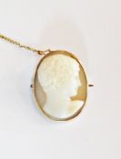 Antique 9ct gold carved shell cameo brooch, oval, classical male head and shoulders portrait, with