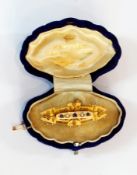 9ct gold sapphire and pearl brooch with ropetwist and filigree decoration