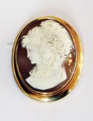 9ct gold and carved shell cameo brooch, oval, head and shoulders profile portrait of a young lady,