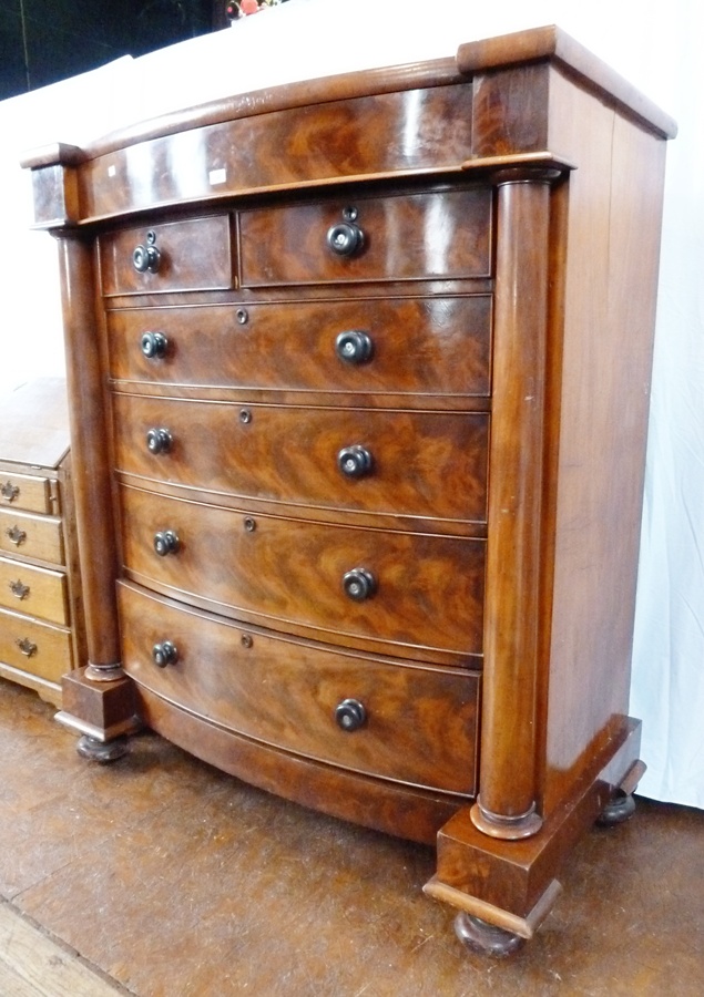 Large Victorian mahogany bowfront chest having flush frieze drawer, two short and four long