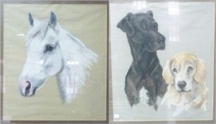 Pastel
Joy Claxton 
Study of two dogs, dated and signed 1982, 50cm x 44cm together with a portrait