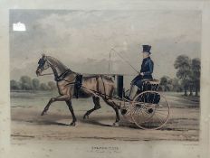 Coloured engraving 
G. Reeve after Lambert 
"Silver-Tail, a favourite Gig Horse", and another