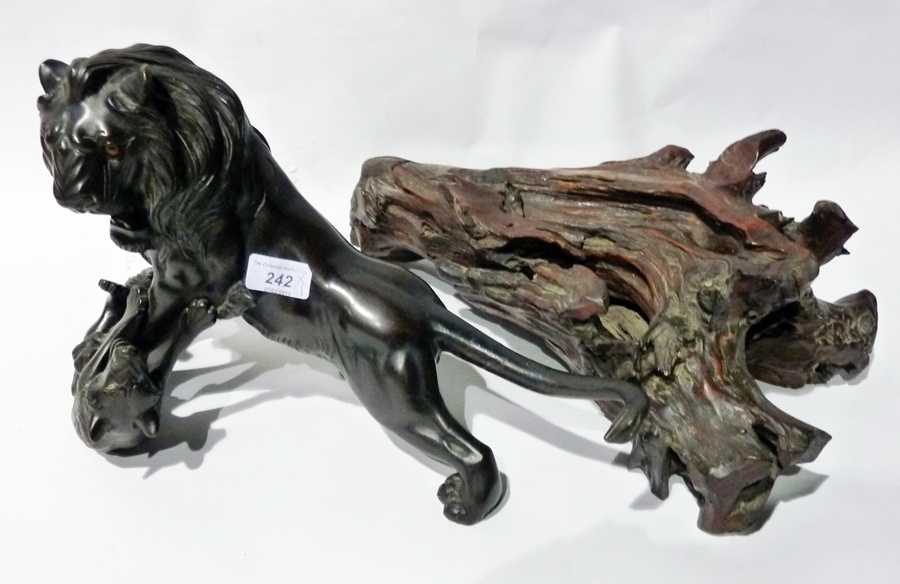 Bronze effect metal model lion and bear, fighting with wooden base