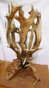 A Victorian antler horn stickstand with entwined antlers and tusks on splayed legs, height 57cms