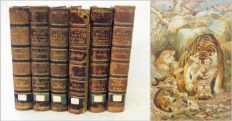 Lydeker, Richard
"The Royal Natural History"
in six volumes, various colour plates with tissue