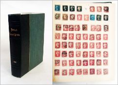 SENF album, world collection with some excellent mint and new stamps from British South Africa