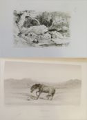 Monkhouse, Cosmo
"The Works of Sir Edward Landseer"
illustrated by 44 steel engraving, large folio,