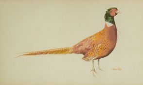 Watercolour drawing
Alan Roe
Study of a Pheasant, 12 x 22cm and a 
Watercolour
R Leung (?) 
Shipping