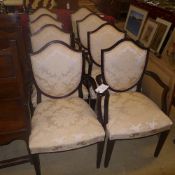 A set of eight mahogany shield back armchairs with pad seat and back with Harrods stamp W 56 D 50 H