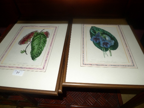 A set of four colour botanical lithographs framed and glazed W 16 H 24 cm