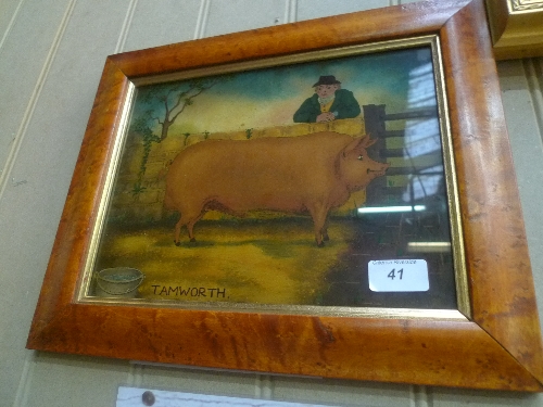 A print of Tamworth Pig within maple frame W 29 H 21 cm