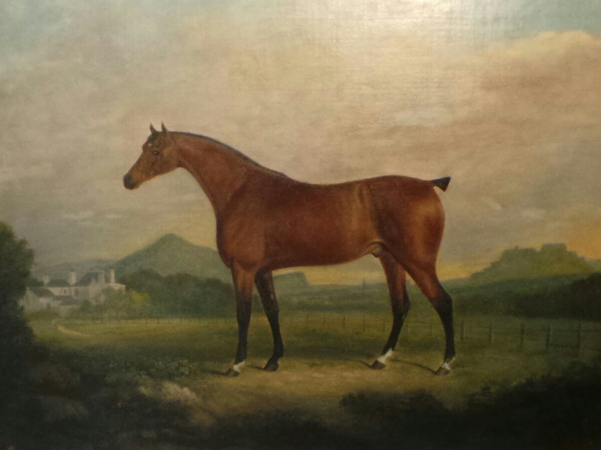 A C19th British School oil on canvas study of a bay gelding in a landscape with house behind dated