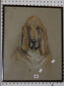 Truda Hope Panet Solomon - Study of a dog Pastel Signed, titled and dated 15.5.46 lower left 51.5cm