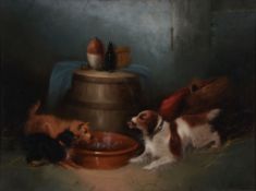 George Armfield (1808-1893) - Terriers and spaniel Oil on canvas Signed lower right 45 x 61 cm (17