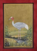 A set of ten Islamic miniature paintings, 20th century A set of ten Islamic miniature paintings,