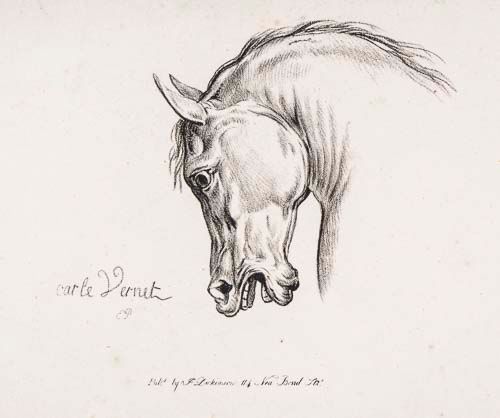 After Carle Vernet - A group of 17 studies of horses` heads, Lithographs, By E. Purcell, 1821, for