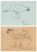 Archibald Thorburn (1860-1935) - Study of a grouse; Study of a falcon, The former in pencil with