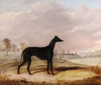 Circle of John E. Ferneley - `Kent`, a coursing greyhound, in an extensive landscape Oil on canvas