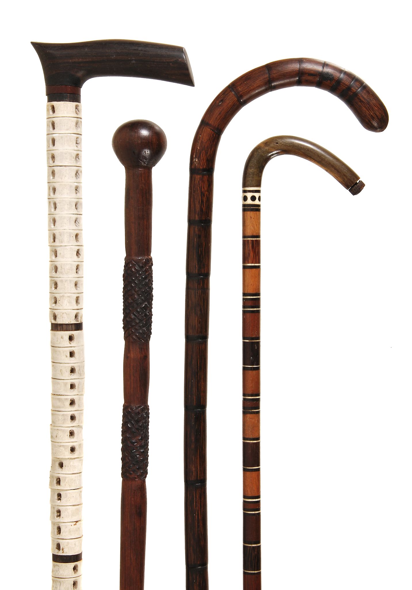 A marine vertebrae and stained hardwood walking stick, early 20th century  A marine vertebrae and