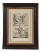 A set of fourteen framed French engravings of equestrian subject  A set of fourteen framed French