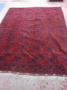 A red ground Afghan carpet, 300 x 230cm