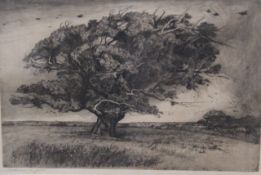 Kathleen Mary Jebb (1878-1957) The Distant Severn; A study of trees Etching, two Each pencil