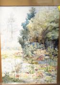 T. S. Smith Woodland scene Watercolour, signed and dated 1911 35 x 24cm There is no condition report