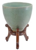 A large Longquan jardiniere, Yuan dynasty of conical form with a cylindrical foot and slightly