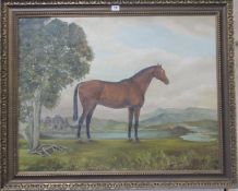 20th Century School Horse study Oil on board 62 x 80 cm