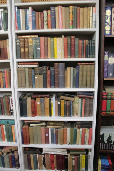 Six shelves of ref.erence books, history books and novels Best Bid