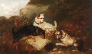 After George Armfield, Terriers, Oil on canvas, 76 x 127cm (30 x 50 in)