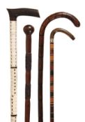 A marine vertebrae and stained hardwood walking stick, early 20th century, with moulded horizontal