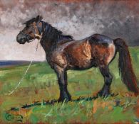 ARR - Malcolm Coward (b.1948), Pony in a landscape, Oil on canvas, Signed lower left, 41 x 46cm (16