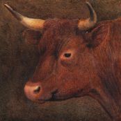 William Sidney Cooper (1854-1927), Head study of a bull, Watercolour, Signed and dated 1876 lower