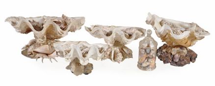 Four shell mounted centrepiece tazzas, 20th century, formed with clam shell tops on bases formed