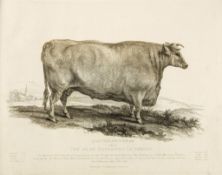 Garrard (George) - A Description of the Different Varities of Oxen, Common in the British Isles,