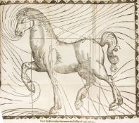 Grey - The Compleat Horse-man and Expert Ferrier,  second edition, woodcut folding plate and