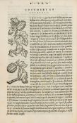 [Sansovino (Francesco)] - Della Agricoltura...Libri Cinque,  second edition, title with woodcut