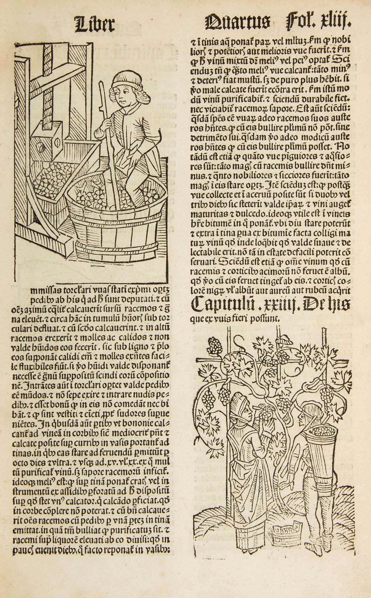 Crescentiis (Petrus de) - Opus ruralium commodorum,  sixth Latin edition, double column, 154 ff. (of
