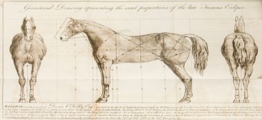 Coleman (Edward) - Observations on the Structure, Oeconomy, and Diseases of the foot of the Horse, 2