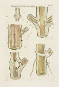 The Construction of Timber, From its Early Growth; Explained by the Microscope  ( Sir   John)